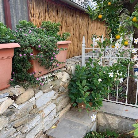 Antica Casa Nel Borgo Διαμέρισμα Pietrasanta Εξωτερικό φωτογραφία