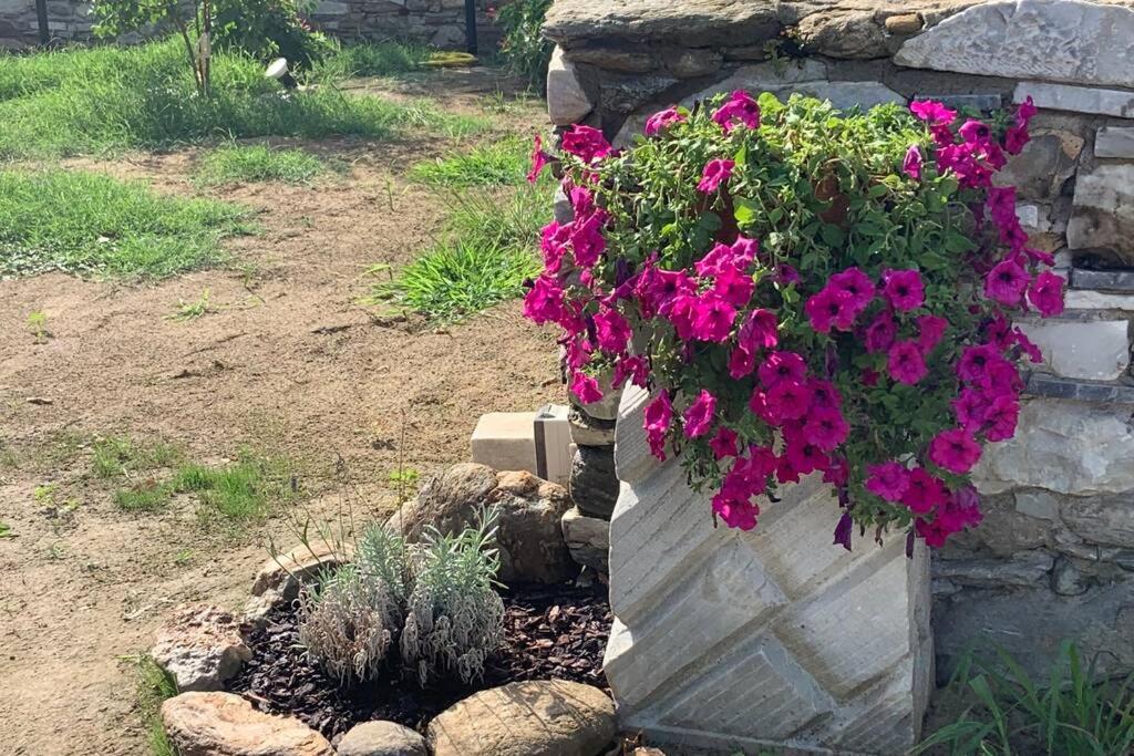 Antica Casa Nel Borgo Διαμέρισμα Pietrasanta Εξωτερικό φωτογραφία