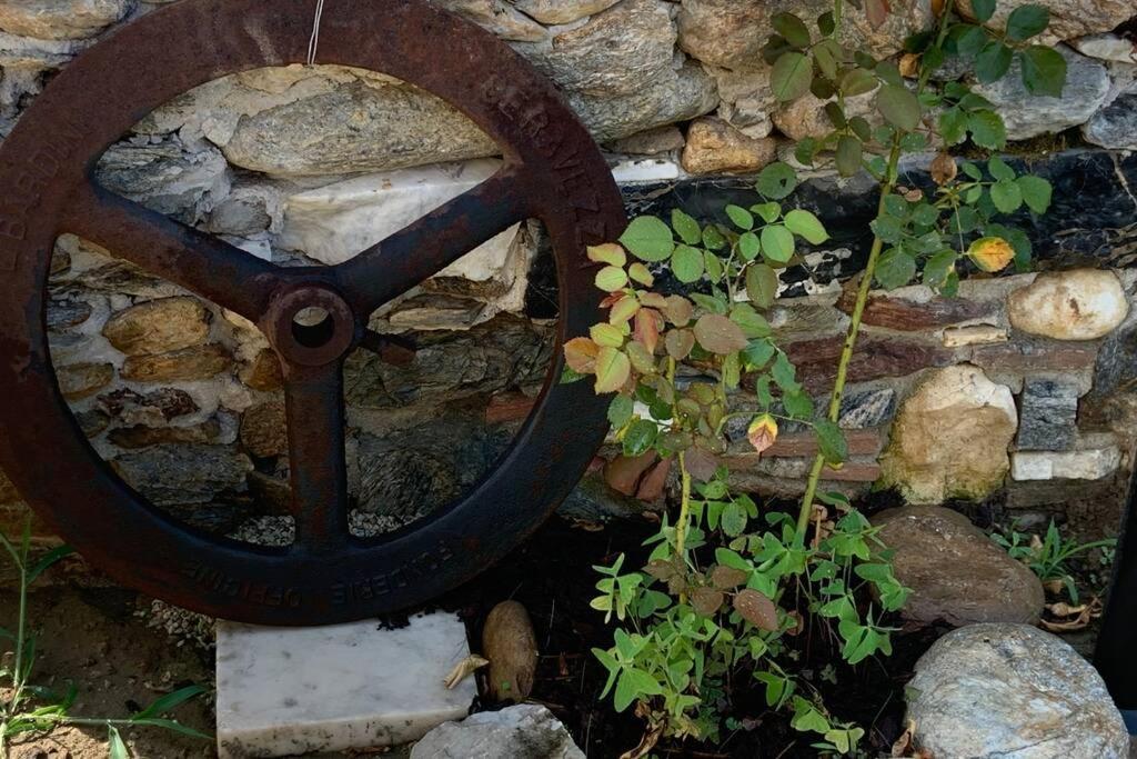 Antica Casa Nel Borgo Διαμέρισμα Pietrasanta Εξωτερικό φωτογραφία