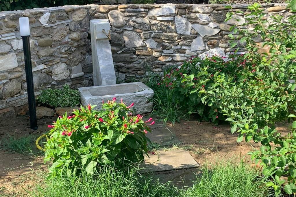 Antica Casa Nel Borgo Διαμέρισμα Pietrasanta Εξωτερικό φωτογραφία